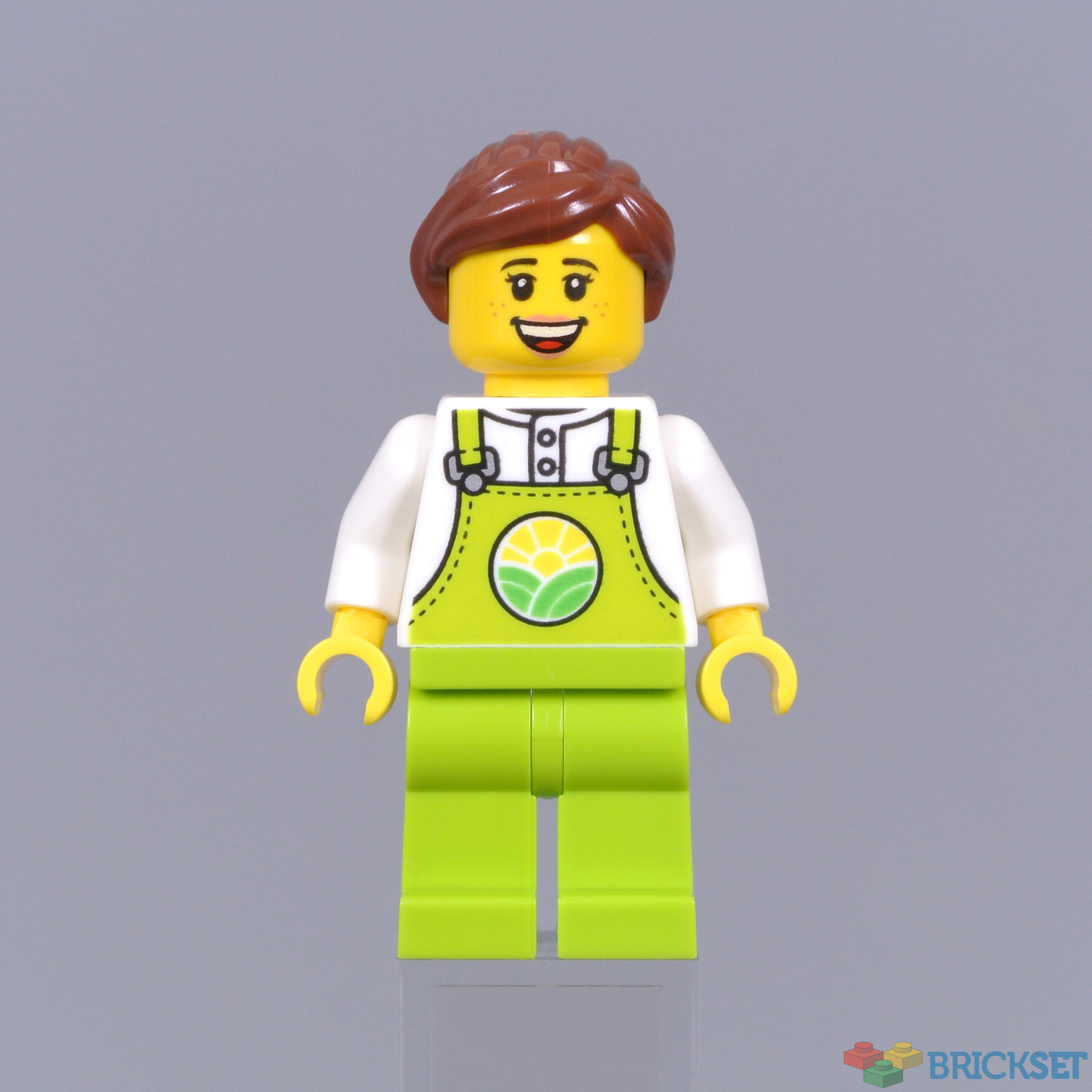LEGO City 60344 Chicken Henhouse review | Brickset